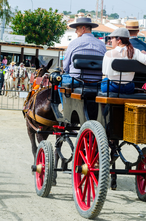ALMAYATE, SPAIN - APRIL 22, 2018 Man driving horse with a wagon in a traditional Andalusian competition, traditional Spain contest based on the presentation of the ability to drive horse with a cart, professional work of carters with horsesのeditorial素材