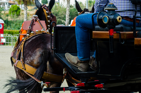 ALMAYATE, SPAIN - APRIL 22, 2018 Man driving horse with a wagon in a traditional Andalusian competition, traditional Spain contest based on the presentation of the ability to drive horse with a cart, professional work of carters with horsesのeditorial素材