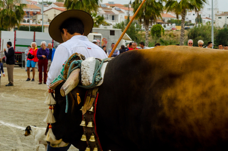 ALMAYATE, SPAIN - APRIL 21, 2018 Traditional Andalusian contest based on the presentation of the ability to drive oxen with a cart, professional work of carters with oxen, eventのeditorial素材