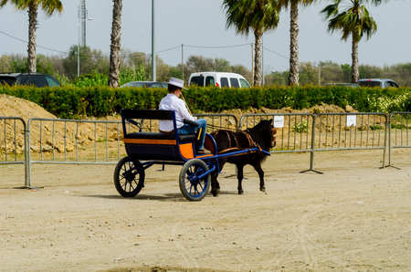 ALMAYATE, SPAIN - APRIL 22, 2018 Traditional Andalusian contest based on the presentation of the ability to drive horse with a cart, professional work of carters with horsesのeditorial素材