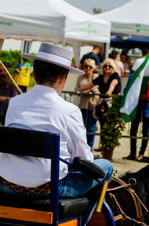 ALMAYATE, SPAIN - APRIL 22, 2018 Traditional Andalusian contest based on the presentation of the ability to drive horse with a cart, professional work of carters with horsesのeditorial素材