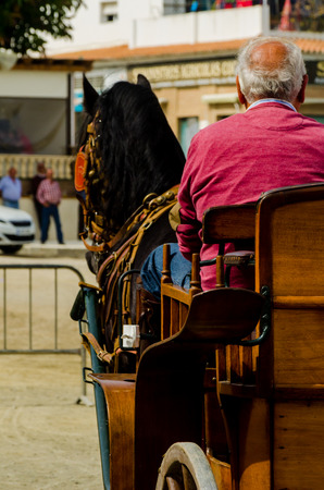 ALMAYATE, SPAIN - APRIL 22, 2018 Traditional Andalusian contest based on the presentation of the ability to drive horse with a cart, professional work of carters with horsesのeditorial素材