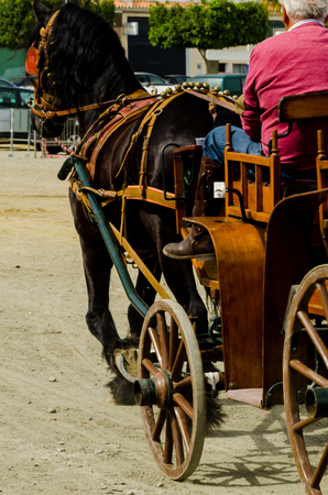 ALMAYATE, SPAIN - APRIL 22, 2018 Traditional Andalusian contest based on the presentation of the ability to drive horse with a cart, professional work of carters with horsesのeditorial素材