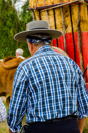 ALMAYATE, SPAIN - APRIL 21, 2018 Contest in the Andalusian town of Almayate based on showing the skills of driving oxen with a cart by coachmenのeditorial素材