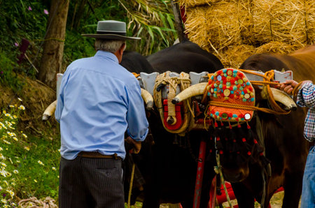 ALMAYATE, SPAIN - APRIL 21, 2018 Traditional Andalusian contest based on the presentation of the...
