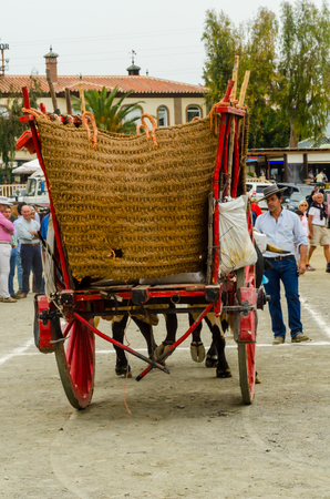 ALMAYATE, SPAIN - APRIL 21, 2018 Traditional Andalusian contest based on the presentation of the ability to drive oxen with a cart, professional work of carters with oxen, eventのeditorial素材