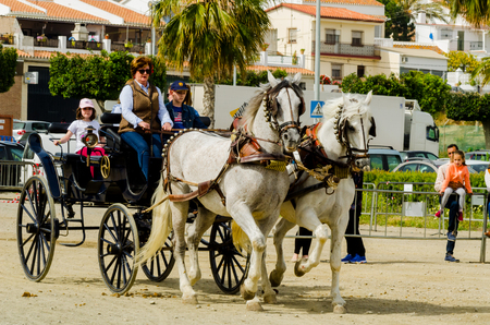 ALMAYATE, SPAIN - APRIL 22, 2018 Traditional Andalusian contest based on the presentation of the ability to drive horse with a cart, professional work of carters with horsesのeditorial素材