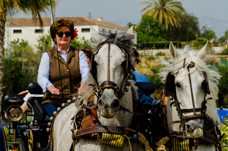 ALMAYATE, SPAIN - APRIL 22, 2018 Traditional Andalusian contest based on the presentation of the ability to drive horse with a cart, professional work of carters with horsesのeditorial素材