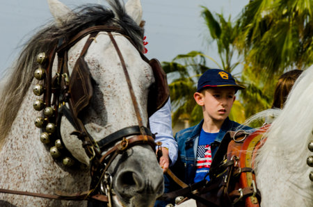 ALMAYATE, SPAIN - APRIL 22, 2018 Traditional Andalusian contest based on the presentation of the...