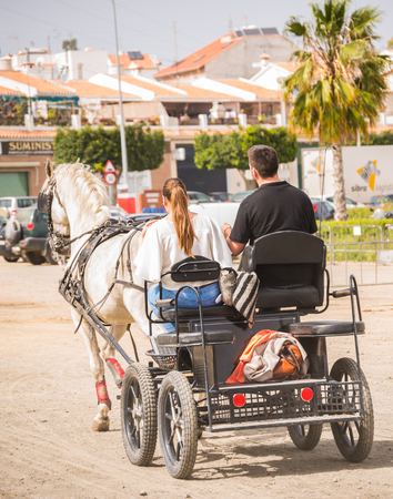 ALMAYATE, SPAIN - APRIL 22, 2018 Traditional Andalusian contest based on the presentation of the ability to drive horse with a cart, professional work of carters with horsesのeditorial素材