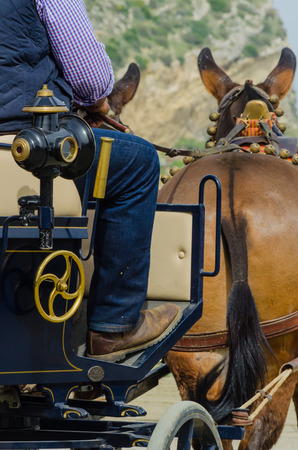 ALMAYATE, SPAIN - APRIL 22, 2018 Traditional Andalusian contest based on the presentation of the ability to drive horse with a cart, professional work of carters with horsesのeditorial素材