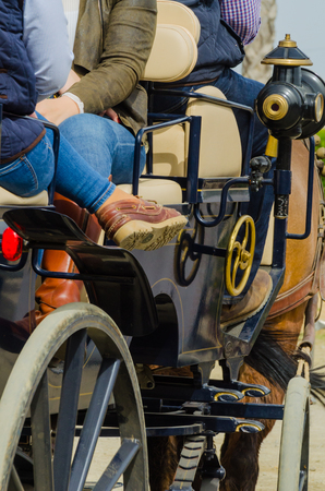 ALMAYATE, SPAIN - APRIL 22, 2018 Traditional Andalusian contest based on the presentation of the ability to drive horse with a cart, professional work of carters with horsesのeditorial素材