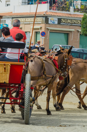 ALMAYATE, SPAIN - APRIL 22, 2018 Traditional Andalusian contest based on the presentation of the ability to drive horse with a cart, professional work of carters with horsesのeditorial素材