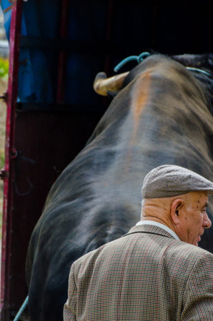 ALMAYATE, SPAIN - APRIL 21, 2018 Contest in the Andalusian town of Almayate based on showing the skills of driving oxen with a cart by coachmenのeditorial素材
