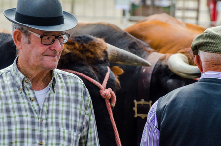 ALMAYATE, SPAIN - APRIL 21, 2018 Contest in the Andalusian town of Almayate based on showing the skills of driving oxen with a cart by coachmenのeditorial素材