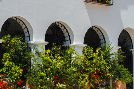 VELEZ-MALAGA, SPAIN - AUGUST 24, 2018 Plants and  trees in the park in a Spanish city, characteristic architecture in the south of Spainのeditorial素材