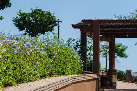 VELEZ-MALAGA, SPAIN - AUGUST 24, 2018 Plants and  trees in the park in a Spanish city, characteristic architecture in the south of Spainのeditorial素材