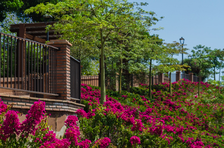 VELEZ-MALAGA, SPAIN - AUGUST 24, 2018 Plants and  trees in the park in a Spanish city, characteristic architecture in the south of Spainのeditorial素材