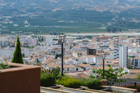 VELEZ-MALAGA, SPAIN - AUGUST 24, 2018 Plants and  trees in the park in a Spanish city, characteristic architecture in the south of Spainのeditorial素材