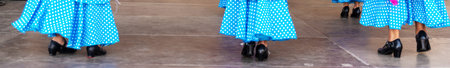Closeup of a typical shoes to the traditional Spanish flamenco dance shoes, leather high heels, part...