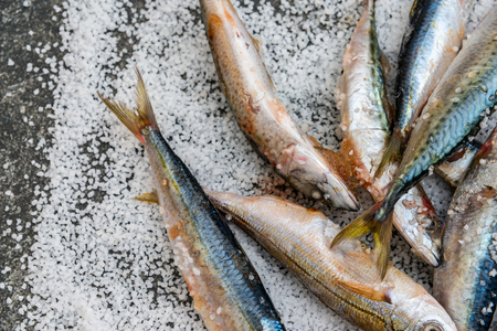 Whole raw organic mackerel fish with sea salt lying on a flat surface, healthy foodの写真素材
