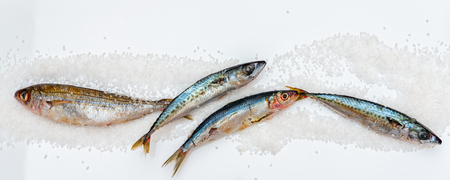 Whole raw organic mackerel fish with sea salt lying on a flat surface, healthy foodの写真素材