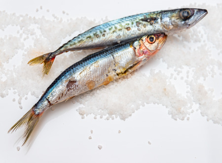 Whole raw organic mackerel fish with sea salt lying on a flat surface, healthy foodの写真素材