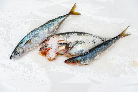 Whole raw organic mackerel fish with sea salt lying on a flat surface, healthy foodの写真素材