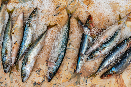 Whole raw organic mackerel fish with sea salt lying on a flat surface, healthy foodの写真素材