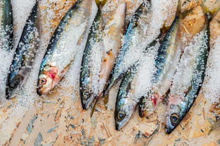 Whole raw organic mackerel fish with sea salt lying on a flat surface, healthy foodの写真素材
