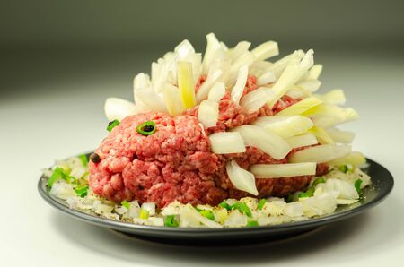 Traditional German dish called Mettigel,Mett served as a Mett hedgehog, raw foodの写真素材