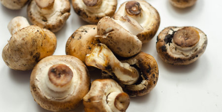 Raw and fresh mushrooms on a white background, vegetables from an organic farm, natural food