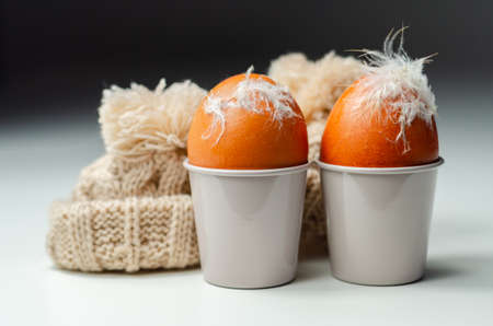 Fresh free range eggs with natural feathers in egg cups, eggs in woolen caps, funny foodの写真素材