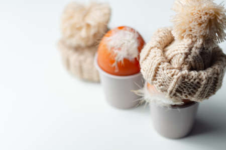 Fresh free range eggs with natural feathers in egg cups, eggs in woolen caps, funny foodの写真素材
