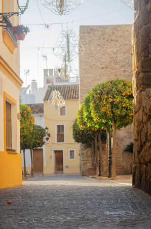 Beautiful  picturesque narrow street with original Spanish  facades of buildings, typical old Spain architectureの写真素材