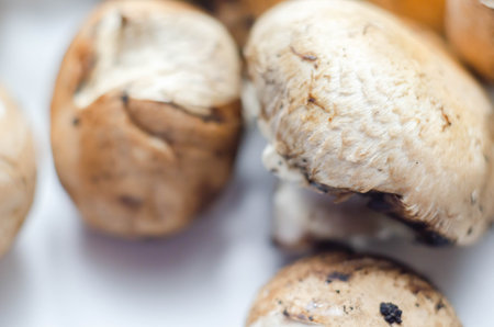 Raw and fresh mushrooms on a white background, vegetables from an organic farm, natural food