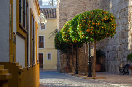 Beautiful  picturesque narrow street with original Spanish  facades of buildings, typical old Spain architectureの写真素材