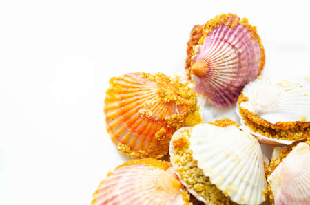 Mini coquilles St. Jacques, Natural scallop shells filled with Patagonian scallops and Thermidor sauce topped with a ciabatta breadcrumb topping, Special foodの写真素材