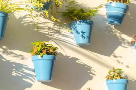 Blue ceramic flowerpots with flowers hanging on the wall, decorating the urban space, decorative Spanish streetの写真素材