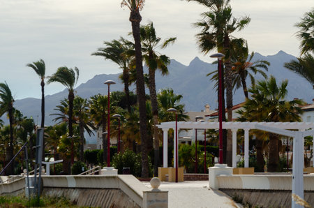 VERA, SPAIN - 23 JANUARY 2019 The urban promenade in the Spanish city of Vera, where numerous cultural and sports events take placeのeditorial素材