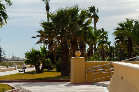 VERA, SPAIN - 23 JANUARY 2019 The urban promenade in the Spanish city of Vera, where numerous cultural and sports events take placeのeditorial素材