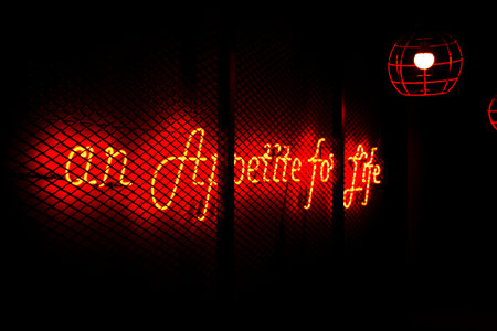 neon signの写真素材