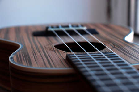 ukulele stringsの写真素材