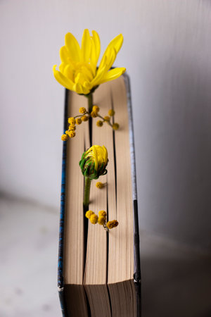 book with flowers between pagesの写真素材