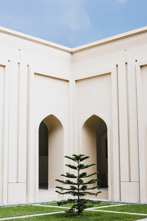 Shah Alam - 25 November 2017 : A pine tree in interior garden at Masjid Diraja Tengku Ampuan Jemaahのeditorial素材