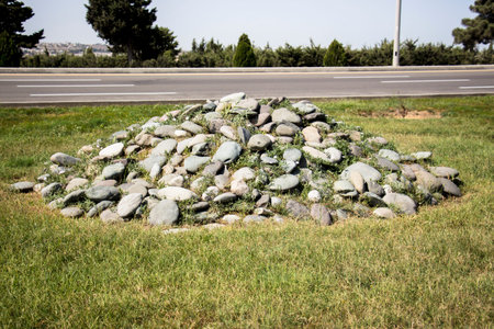 Sea stones overgrown with green grass on a summer morning