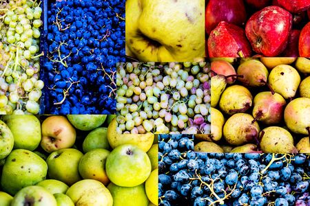 A set of different fruits. Texture. Background. Fruit Set Wallの写真素材