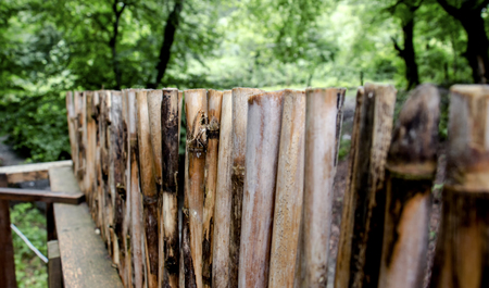 A fence made of bamboo as a backgroundの写真素材