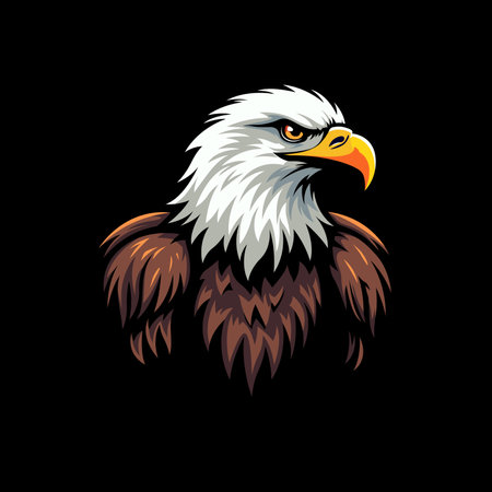 Bald Eagle head isolated on black background. Vector illustration for your designのイラスト素材