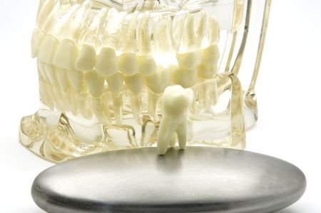Transparent dental model with metallic objectの写真素材